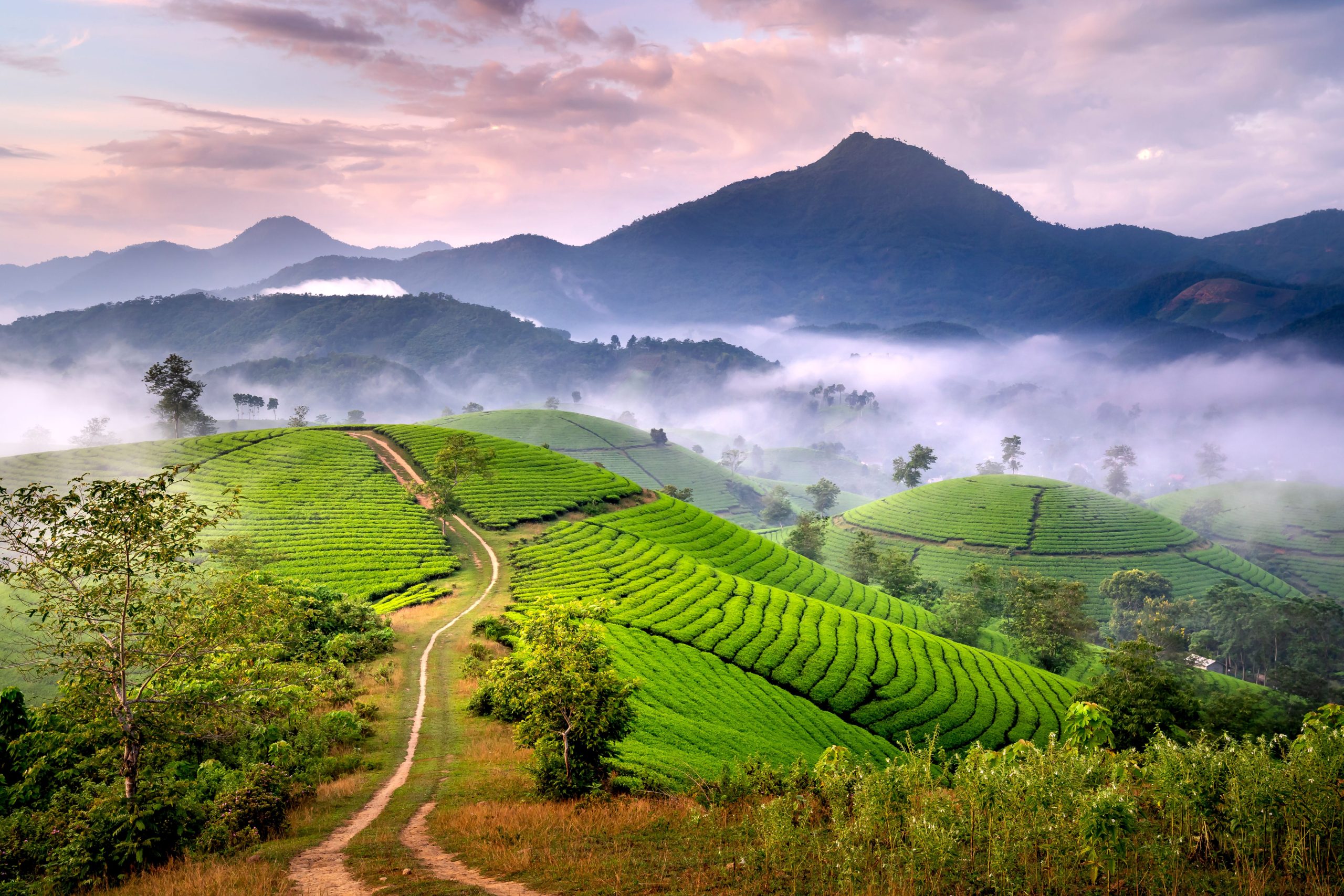 Assam